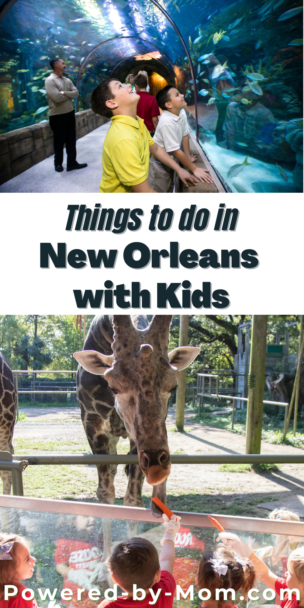 From museums, to tours, to taste testing the city’s most famous bites, there are all kinds of things to do in New Orleans with kids.